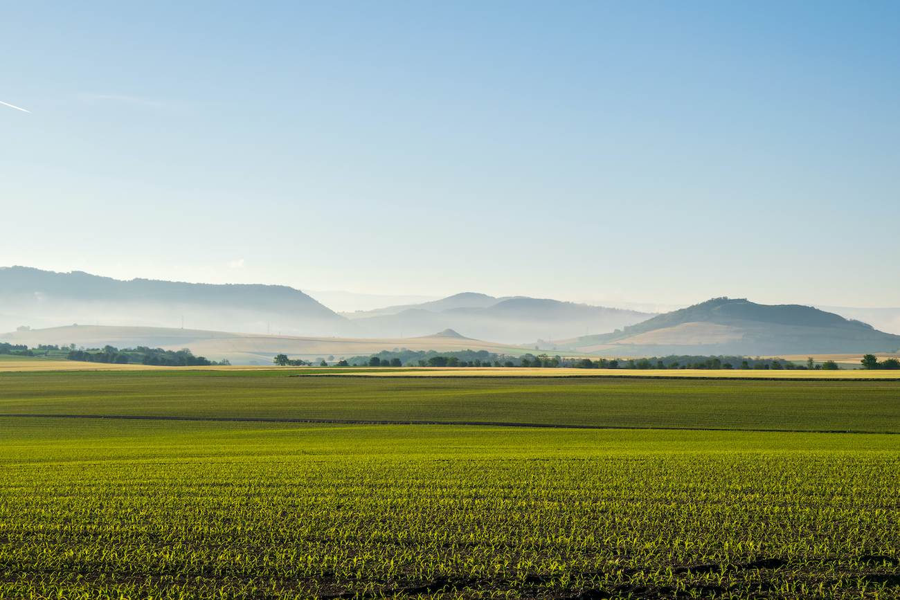 Background image for Cadmium