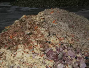 Traitement de biodéchets alimentaires industriels