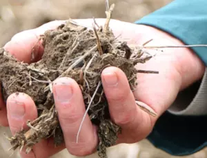 Engrais d'élevage produits par Veolia Agriculture