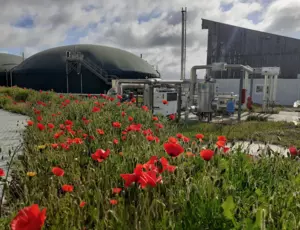 Méthanisation agricole et production de biogaz vert