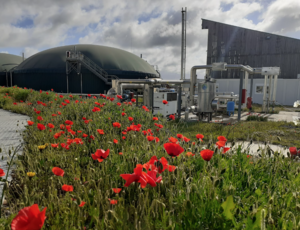Méthanisation agricole et production de biogaz vert