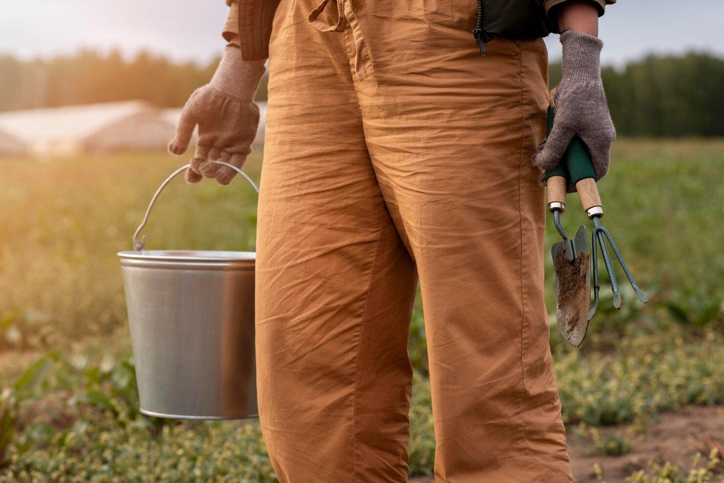 Bienfaits de la fertilisation organique
