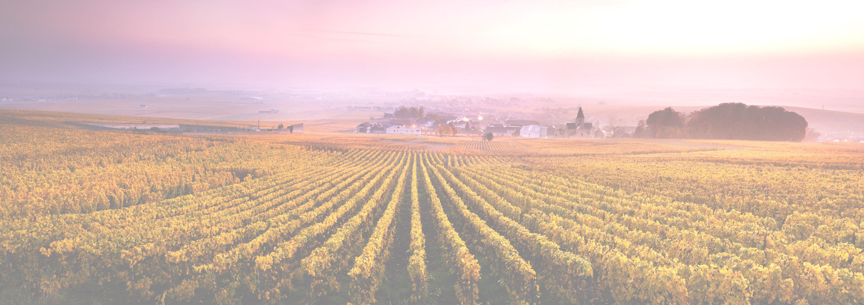 En savoir plus sur Veolia Agriculture.