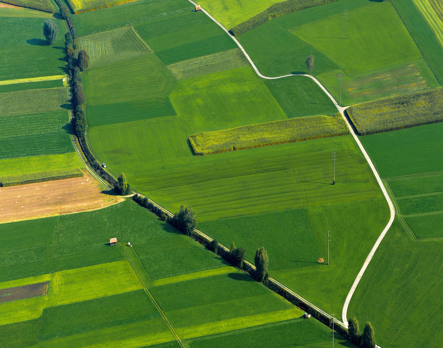 Exploitation agricole vue du ciel