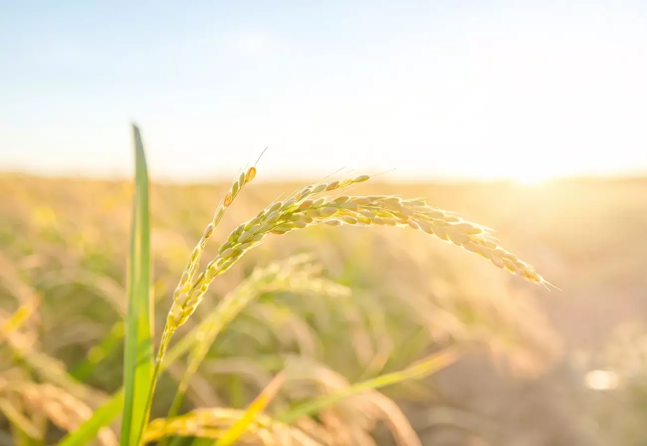 Contacter Veolia Agricuture