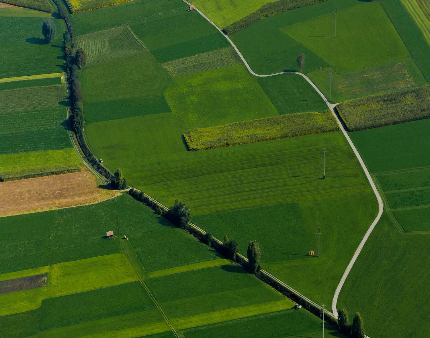 Exploitation agricole vue du ciel