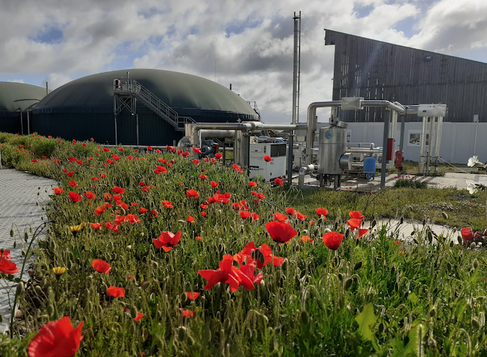 Méthanisation agricole et production de biogaz vert