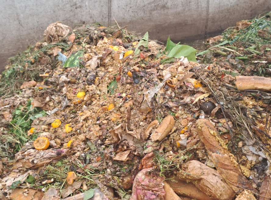 Veolia déconditionne des biodéchets en vue d’une valorisation agricole Titre : Déconditionnement de déchets organiques en vue d’une valorisation par compostage