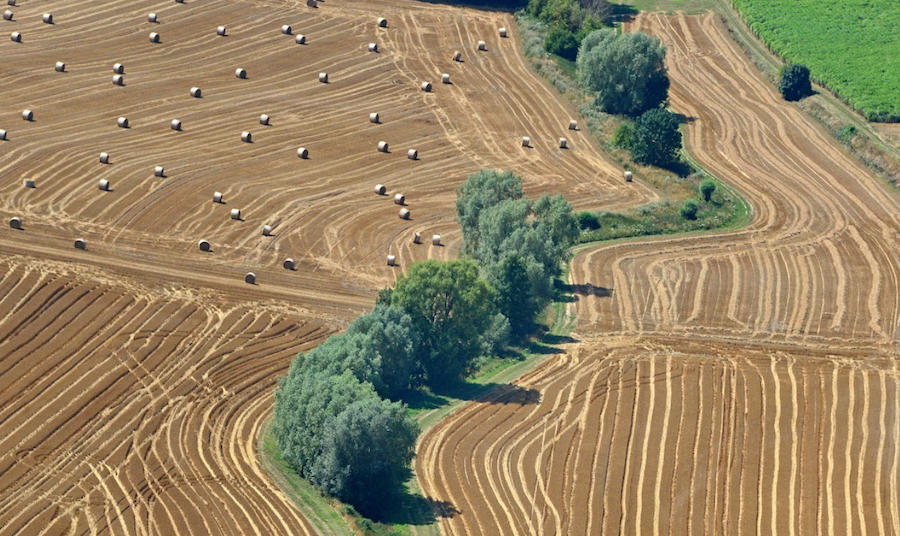 Veolia Agriculture est un acteur de la valorisation des déchets alimentaires en agriculture